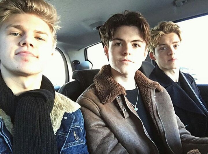 SpanishNHCfam's tweet photo. Los chicos en el instagram de la banda - 🐬 https://t.co/cJpSwQaxHM