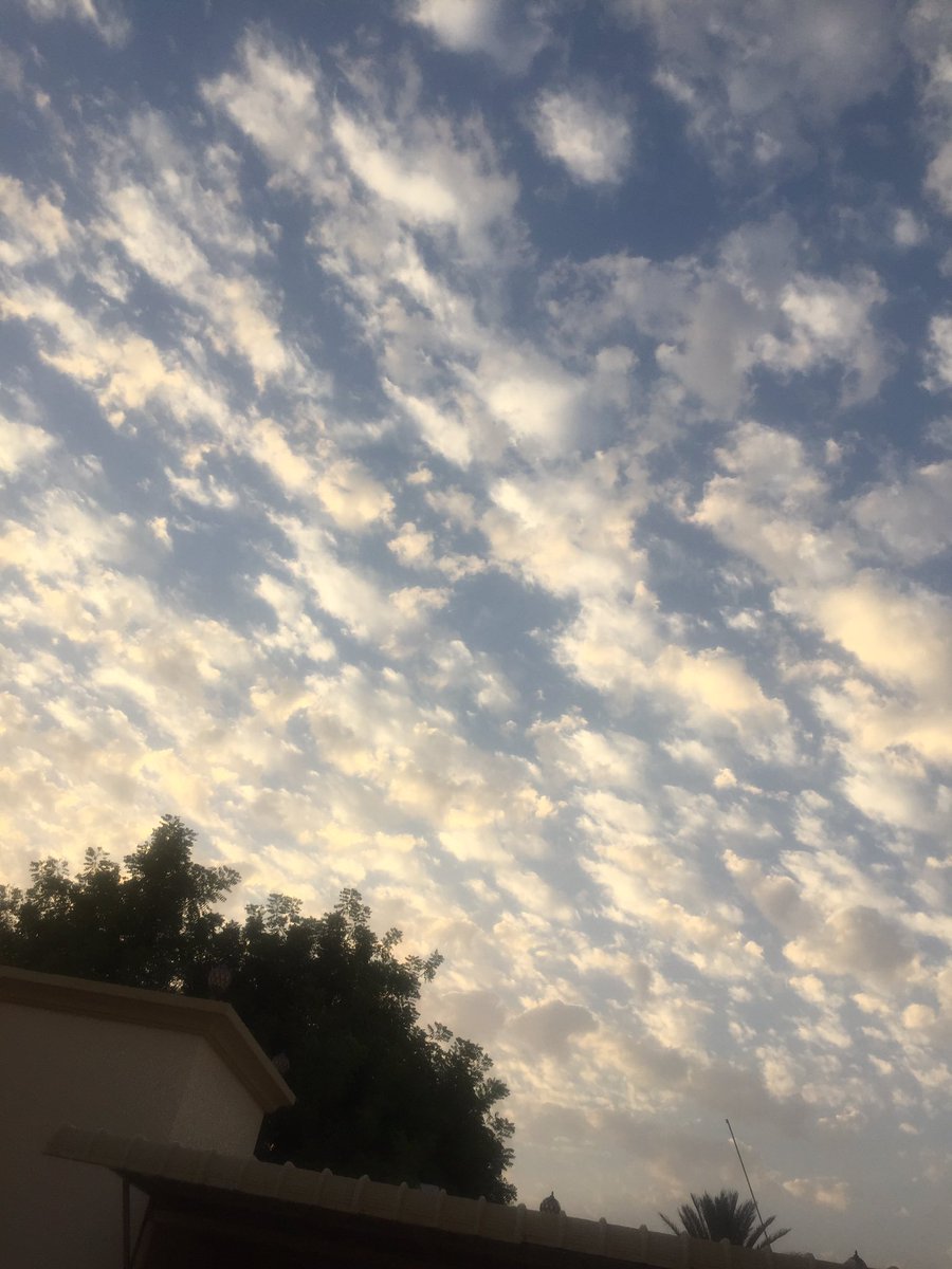 الحمدُلله حمداً كثيراً طيباً مباركاً فيه .. وحدهُ سبحانه وَ تعالى يستحق الحمد وَ الثناء🌴🍃🌿