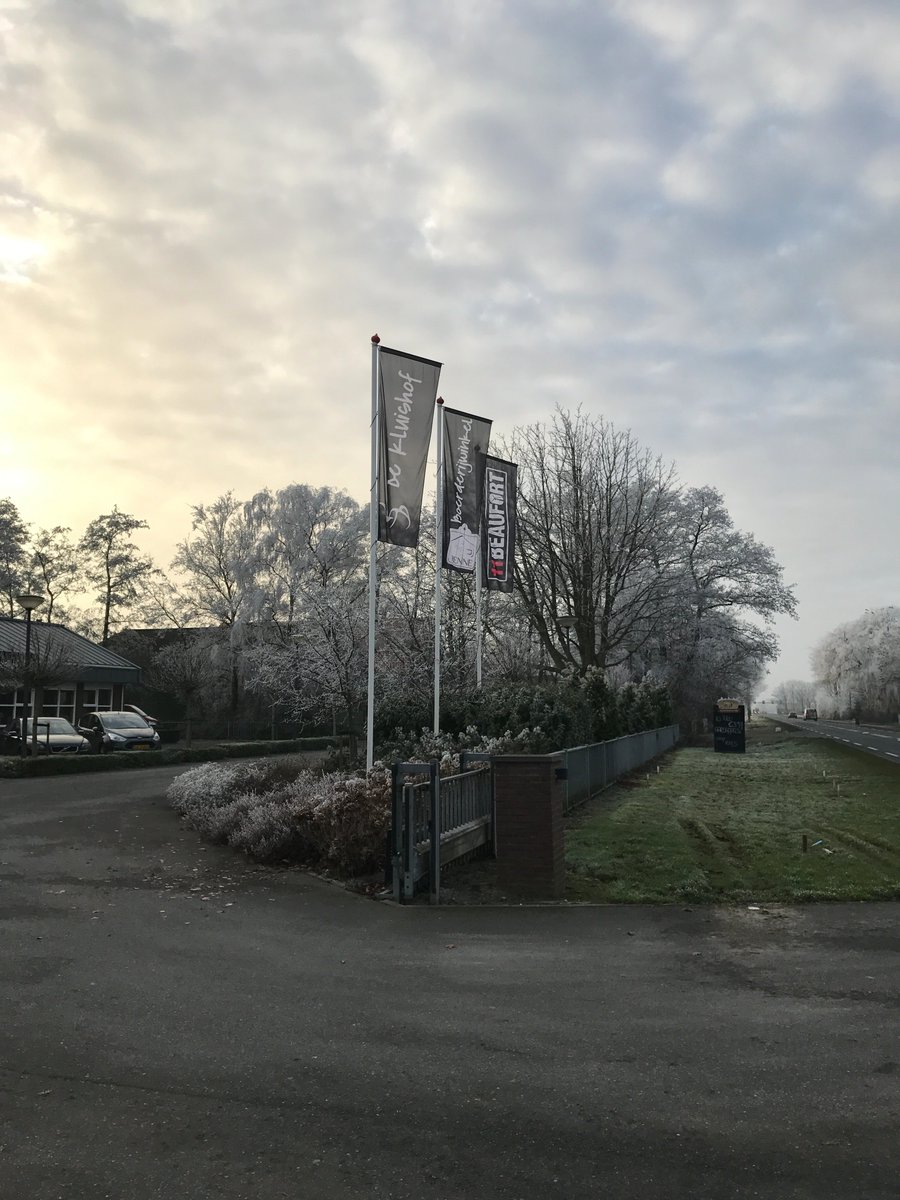 bijrenne's tweet photo. Wat een mooie plaatjes met de vorst afgelopen dagen! https://t.co/YofOnZKoet