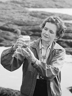 DrKatfish's tweet photo. In 1962, marine biologist Rachel Carson published Silent Spring which raised awareness about humans' impact on the environment #USofScience https://t.co/QYXMaHTIfY