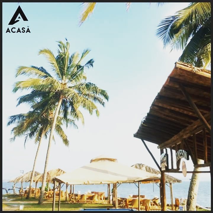 AcasaGoaStays's tweet photo. Get you vitamin D in the Goan sun. Book your Goa stay today!! #goa #beachlife #sun #holiday #villas #apartments #vacationrentalstays https://t.co/f6u1zh2erM