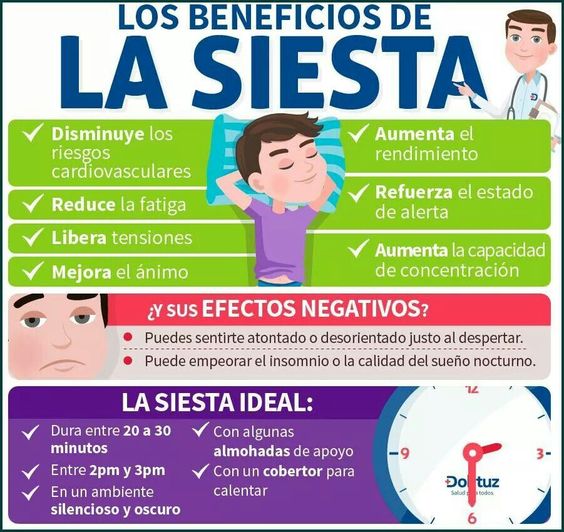 ¿SUELES ECHARTE LA SIESTA?Do you usually have a siesta?malagatogo.com #learnSpanish #Spanish #español #Málaga  #salud