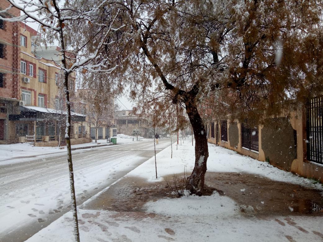 sabermoh4's tweet photo. #beautiful #snow
#snowing #nature #tlemcen #algeria #500pxrtg #stormhour #ThePhotoHour https://t.co/PG17xZOel8