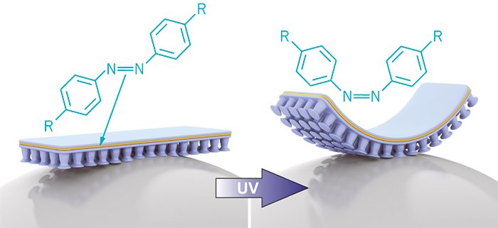 Inspired by geckos, controlled by light. New adhesive grips and releases stuff when triggered by UV light ow.ly/qeZw308aXQn
