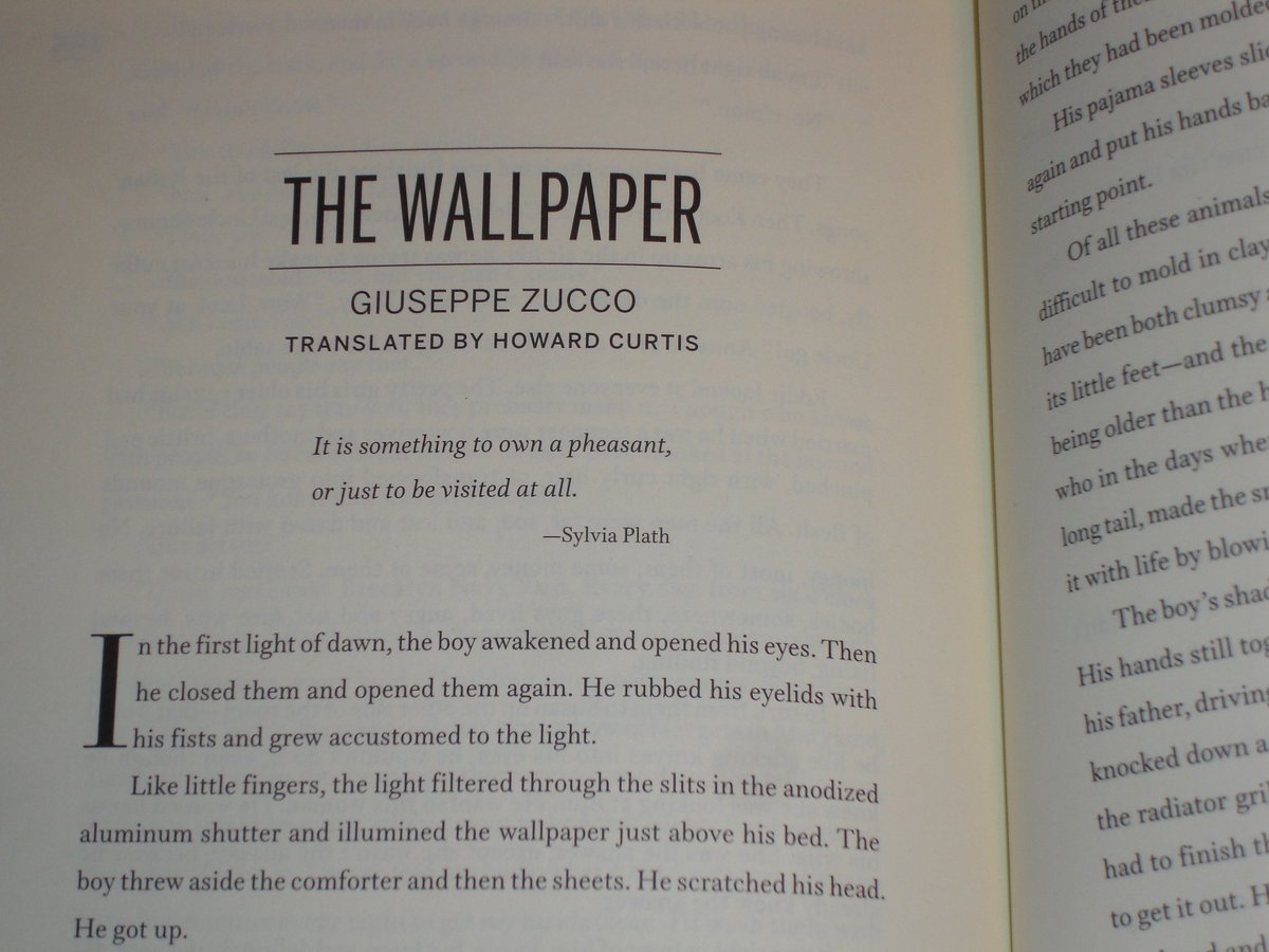 Un racconto di Giuseppe Zucco, "la carta da parati", è stato pubblicato sulla rivista "Zyzzyva - San francisco journal of arts &amp; letters :)