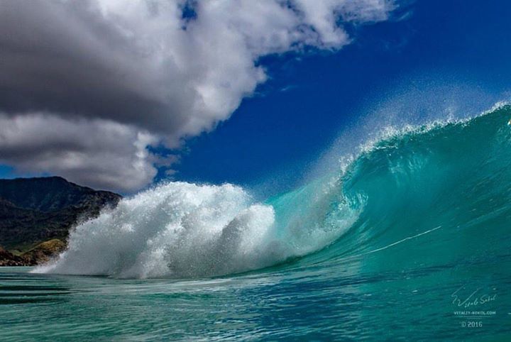 BlueOceanFilm's tweet photo. ↘
↠ 📷 @vitaliysokol
….
….
Hashtag your images with #blueoceanfilmfest to be featured!
….
….
#savetheocean #oceanm… https://t.co/uiKriWM0ye