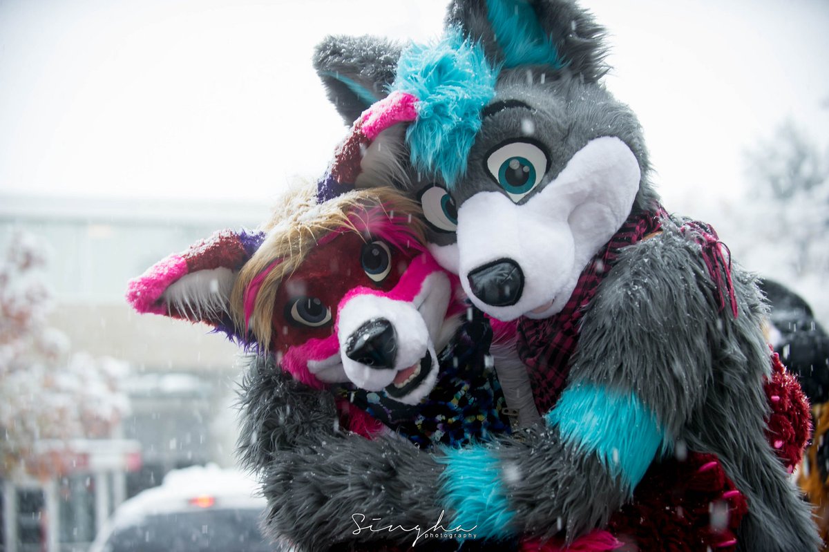 solarflare_fen's tweet photo. Happy #FursuitFriday. I found a cute wolf at MFF in the snow and I had to snag a picture! #mwff2016
📷 by @SinghaTheLion 
@CosmicWuffy https://t.co/S5Zax6LBdj