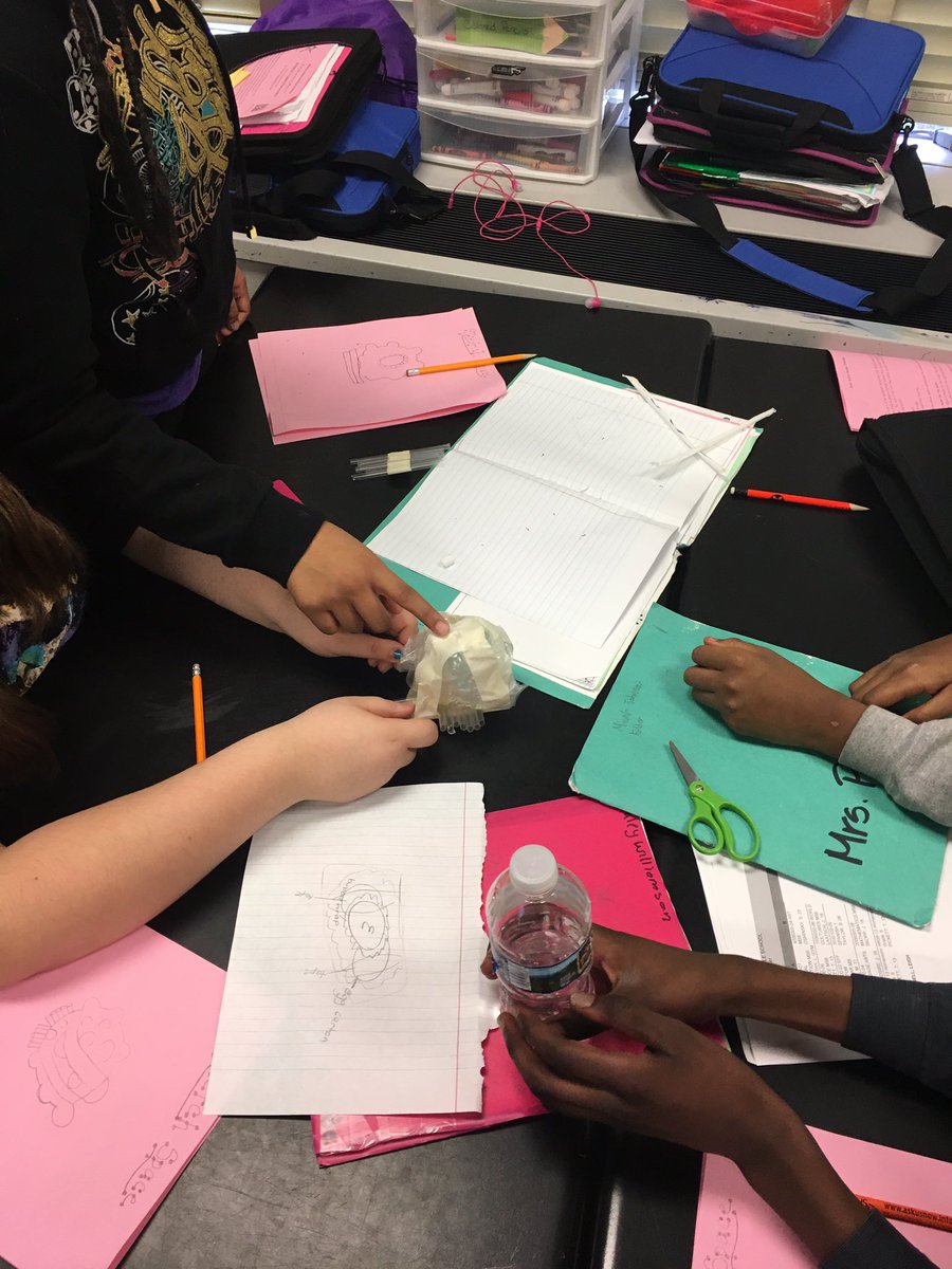 Students are eggstatic about designing, building and testing their egg helmets for forces and motion.