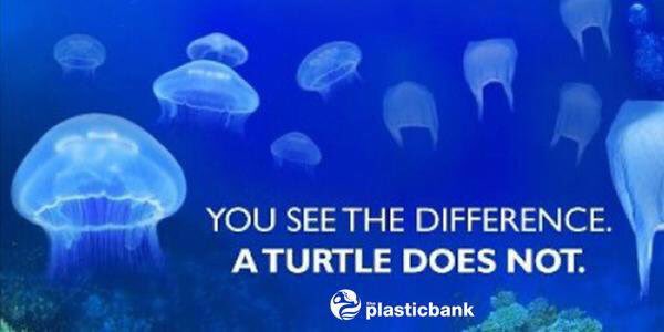 ShaunFrankson's tweet photo. Marine animals &amp; seabirds confuse plastic waste as food. We know the difference but they don't. RT to remind others. https://t.co/gGHCjHUwQe