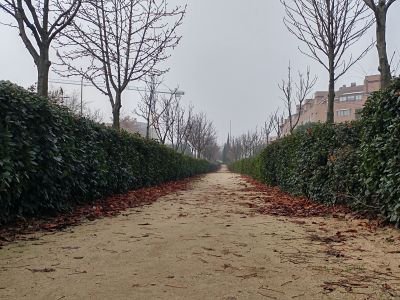 explota_madriz's tweet photo. Los premiados del I concurso de #NavidadesDeBarrio son: 1: Manuel Campos, 2: Emilio Vazquez Campón y 3: Alvaro Camargo Arranz. Enhorabuena! https://t.co/TwHsJU4I7f
