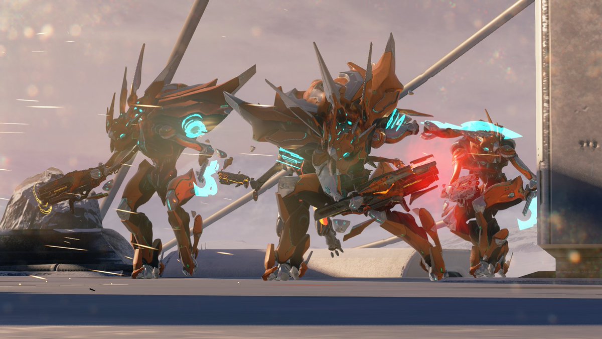 Halo tweet picture