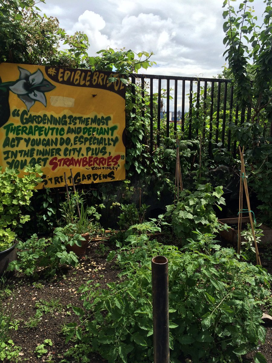 Saralimback's tweet photo. Wanna make some change?!?!?
Still don't know who owns this land?!?
But it's a garden!!
#positivity #kindness #bridgesnotwalls https://t.co/Vjd5eWNVpZ