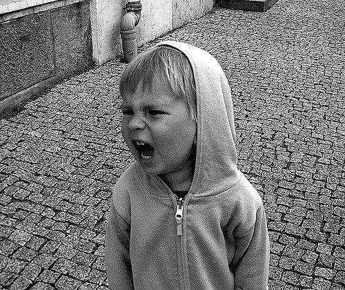 vapers's tweet photo. Does the idea of taxing vaping make you want to scream? 
This consultation needs everyone to take part
https://t.co/6v8DpUt0dL https://t.co/n3vu171VHU