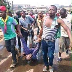 NN News Media tweet media