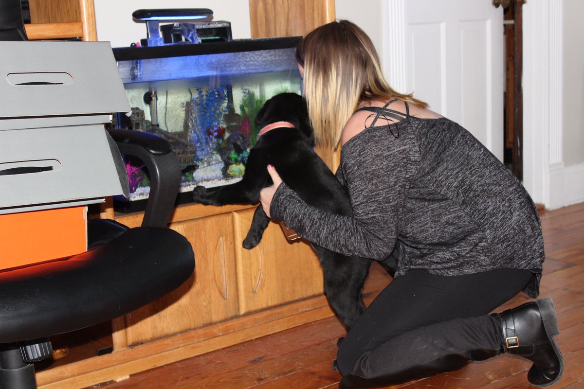 Jackieefisher77's tweet photo. I miss my dog and my fish #PoorBean ☹️💖🐶🐠 https://t.co/psCHETYbXx