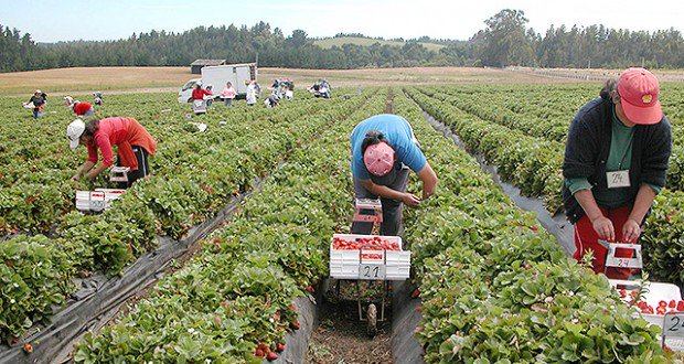 sembrando2's tweet photo. 259 - La Pastoral de Temporeros
Invitado: P. Eduardo Morín, Patoral social Cáritas. 
https://t.co/xw8E2saHsk https://t.co/LGksg1zWsB