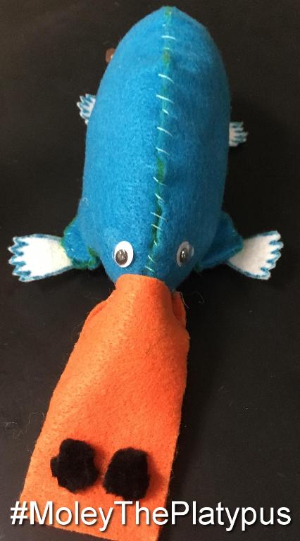 CoachMorrisCV's tweet photo. Voting is now open for the #MoleDay2017 #FinalNine ! RT or Mention with your mole's hashtag with #cvisdlearns . Voting will close Tuesday! https://t.co/V9nIJHPH42