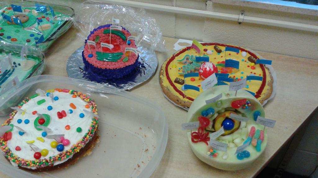 vansteenkistek1's tweet photo. Edible Cell project! Kinnwood Grade 8's! #cellproject #lkdsb#scienceisfun https://t.co/5wG06eeikM
