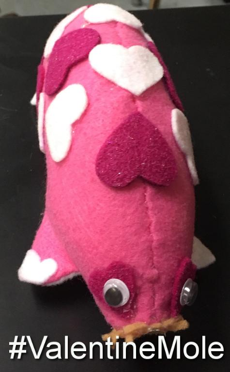 CoachMorrisCV's tweet photo. Voting is now open for the #MoleDay2017 #FinalNine ! RT or Mention with your mole's hashtag with #cvisdlearns . Voting will close Tuesday! https://t.co/eHcU163Mwy