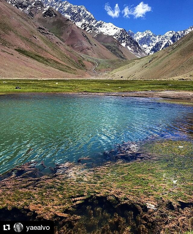 MaravillasEnChi's tweet photo. Laguna en el Estero #CasaDePiedra en el Valle del #RioYeso 📍Reg. #Metropolitana 🇨🇱 
#MaravillasEnChile #Trekking #CordilleraDeLosAndes https://t.co/gpmIluy0im