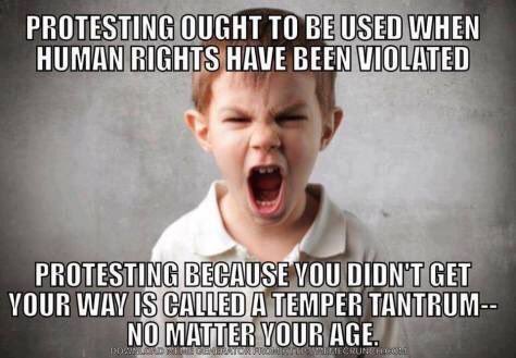 dirttracklive's tweet image. 