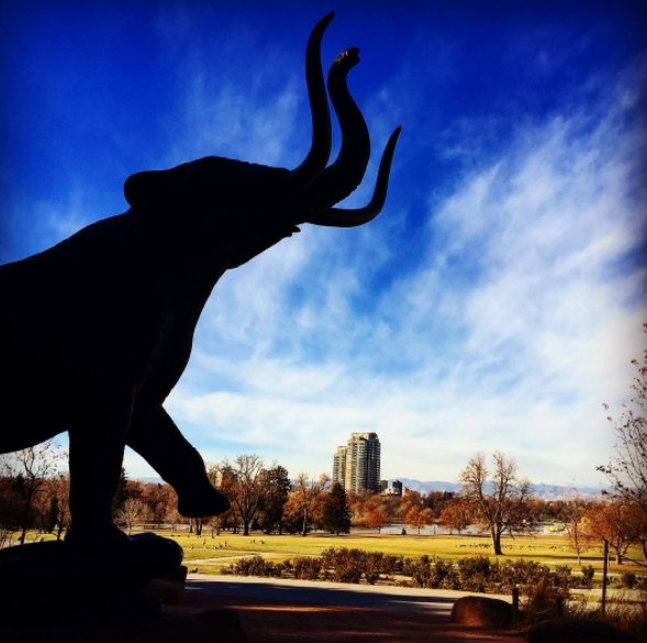 hyatthouseden's tweet photo. The Denver Museum of Nature &amp; Science is a catalyst for community learning. (Photo: @visitdenver via Instagram) https://t.co/Q0UqyM5bws