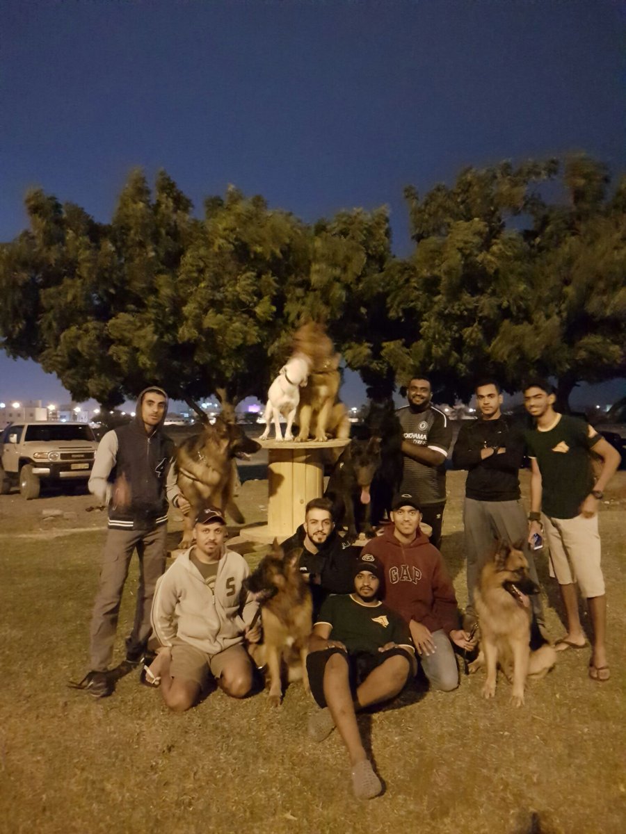 K9_alphateam's tweet photo. https://t.co/BCQKzfIoJV