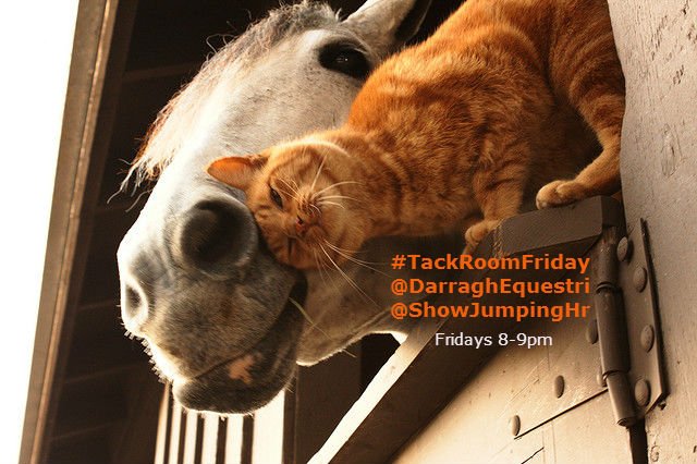 #TackRoomFriday 🏇 tweet media