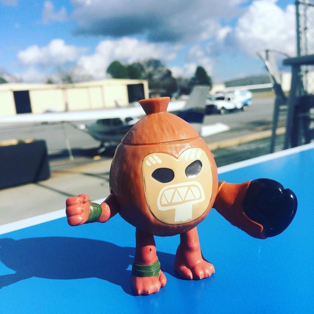 Coconut Joe says have a great Friday! <a href="/theglobehub/">GlobeHub</a>