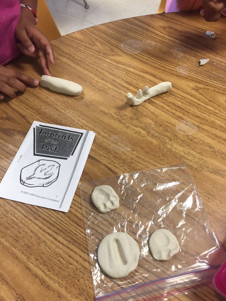 mcarldscs's tweet photo. Creating our own version of trace, mold and cast fossils @HarrisRM_DSES https://t.co/OXlSCuRAeW