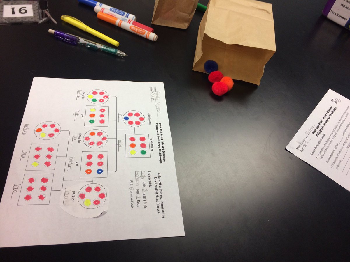normavsantos's tweet photo. 7th grade science S determine risk factors for heart disease based on genetics. Fun, hands on learning. S voice and collaboration. #kjhpride https://t.co/un2d2HhXkX