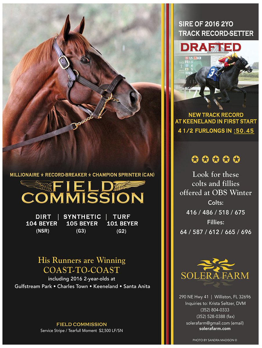 FTBOA (@florida_horse) on Twitter photo #FieldCommission
His Runners are Winning Coast-to-Coast!
Sire of 2016 2YO Track Record-Setter #DRAFTED
<a href="/solerafarm/">Solera Farm</a> #OcalaMarionCounty #FieldCommission
His Runners are Winning Coast-to-Coast!
Sire of 2016 2YO Track Record-Setter #DRAFTED
<a href="/solerafarm/">Solera Farm</a> #OcalaMarionCounty
