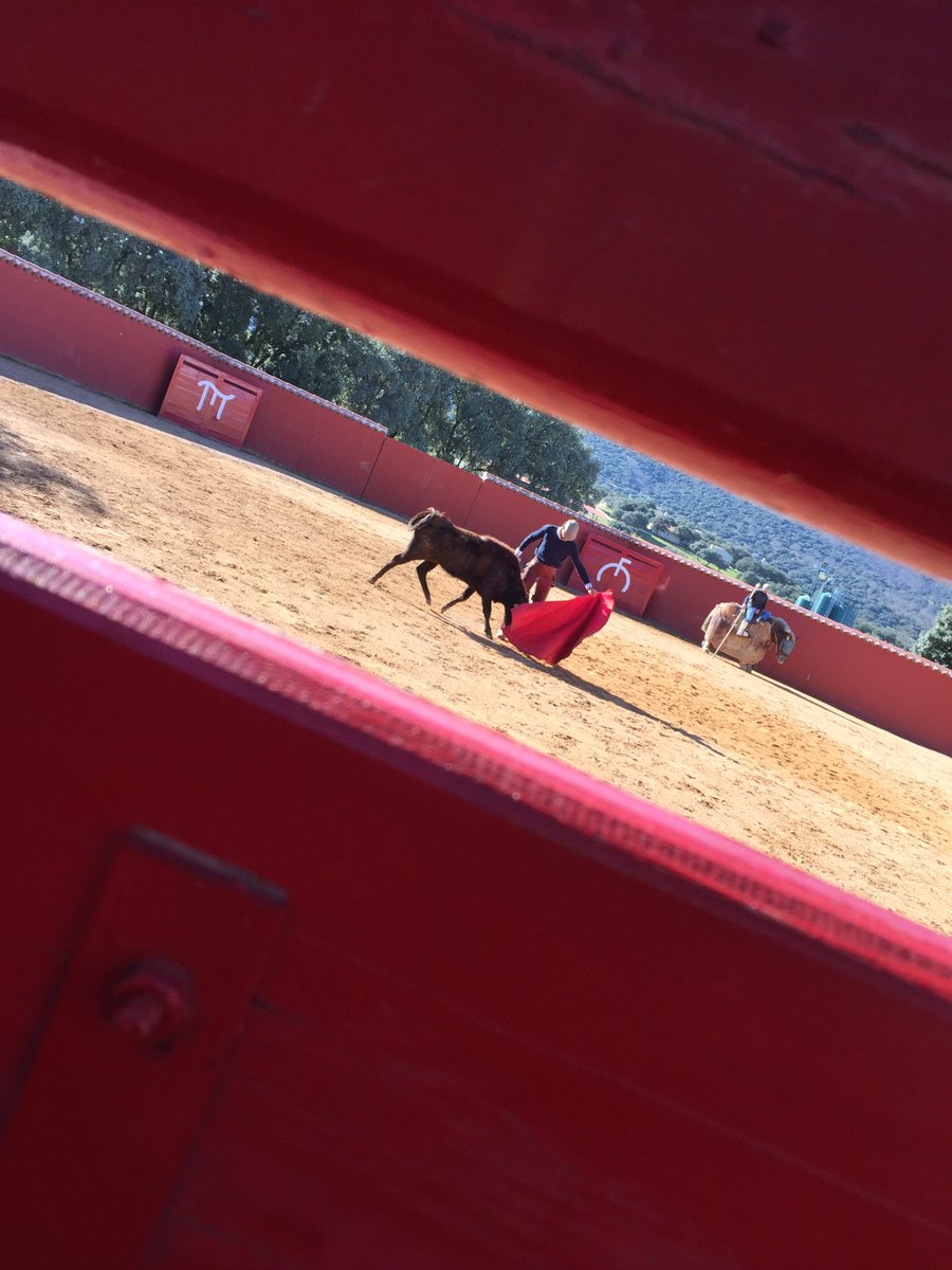 Lo más profundo de mi tauromaquia se esta empezando a vislumbrar, pero lo mejor esta por llegar.