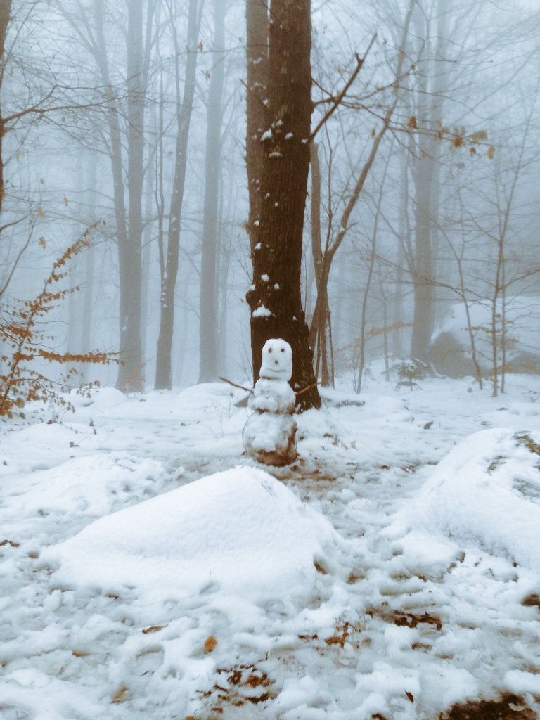 ManuelTardioG's tweet photo. Santa Fe del Montseny nevado!!! @ajsantceloni @just_deea @Tiempo_Mercedes https://t.co/WorM2u9Qd8