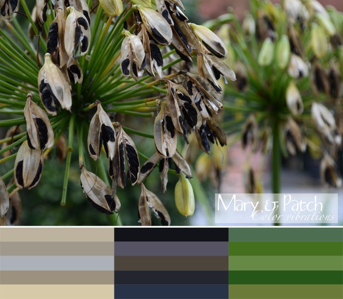 MaryCo1's tweet photo. #color #palette and #inspiration for Friday!
https://t.co/4avRZ9XiEV https://t.co/guKs75ISlg