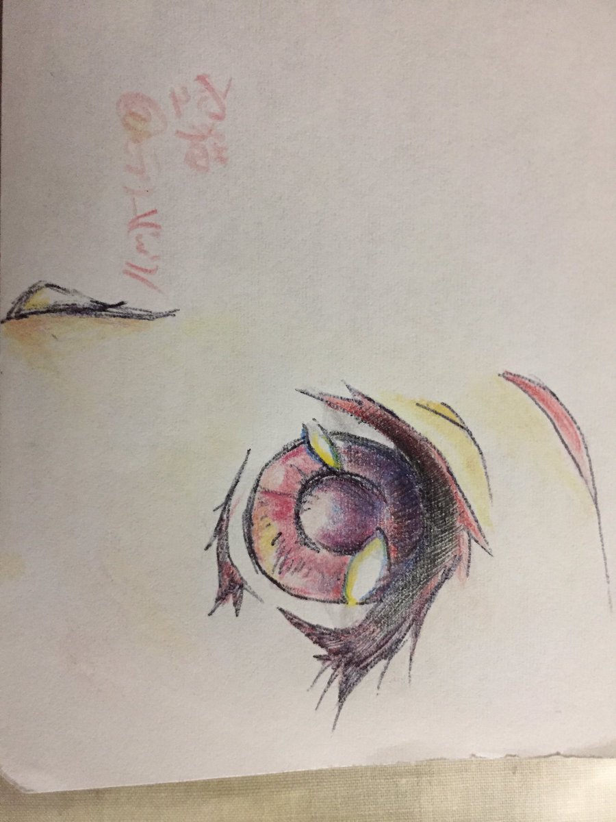 Soraneko Auf Twitter シャーペンで描いた目と目のグラデーションの練習 2度目は赤で塗ってみましたが前の方が自分好みに塗れたかもしれない なんとなく投稿してみます W 絵描きさんと繋がりたい 色鉛筆 イラスト基地 絵描きの輪 絵描き人 シャーペン