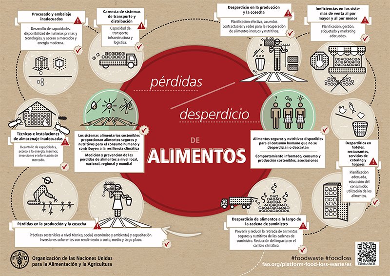 FAOMexico's tweet photo. Recuperar tan sólo la mitad de lo que se pierde o desperdicia podría bastar para alimentar al planeta https://t.co/KFcERCSoKb https://t.co/sM1R3To68K