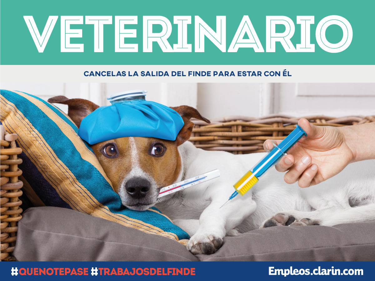 Empleos Clarin (Empleos_Clarin) Twitter