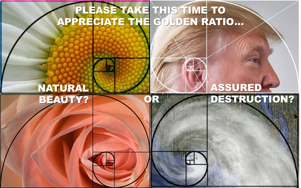 thriftale's tweet photo. Please take this time to appreciate the #GoldenRatio... Natural Beauty or Assured #Destruction? #Trump #Inauguration #Hurricane #Fibonacci https://t.co/prgn5HAARV