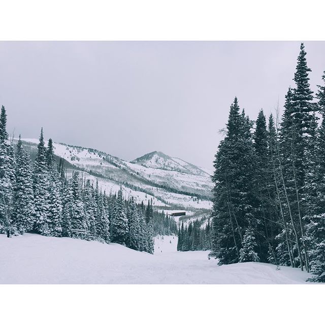 redpineparkcity's tweet photo. It's impossible to have a bad day when this is right outside your door!
#PC #mountainlife #lifeelevated #utahisrad 
Props to — 📷: @meg_fee https://t.co/JNrBgIynIy