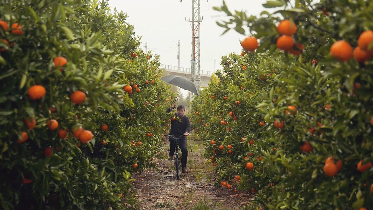 deaardappeleter's tweet photo. In de achtertuin van Valencia verzamelen we álles wat nodig is voor de originele PAELLA. Straks om 19:50 op NPO2. https://t.co/eTSUA956DR