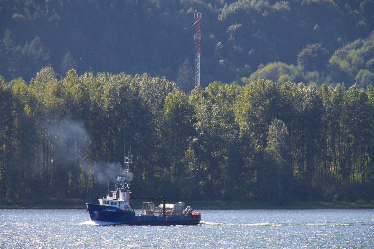 PortofKalama's tweet image. Port of Kalama: commerce and wildlife thrive here. #ResponsibleDevelopment #EnvironmentalStewardship #Kalama #EconomicDevelopment #PNW
