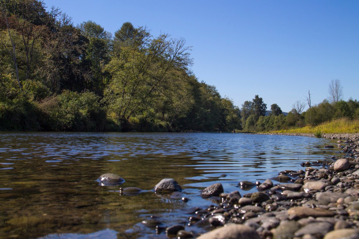 PortofKalama's tweet image. Port of Kalama: commerce and wildlife thrive here. #ResponsibleDevelopment #EnvironmentalStewardship #Kalama #EconomicDevelopment #PNW