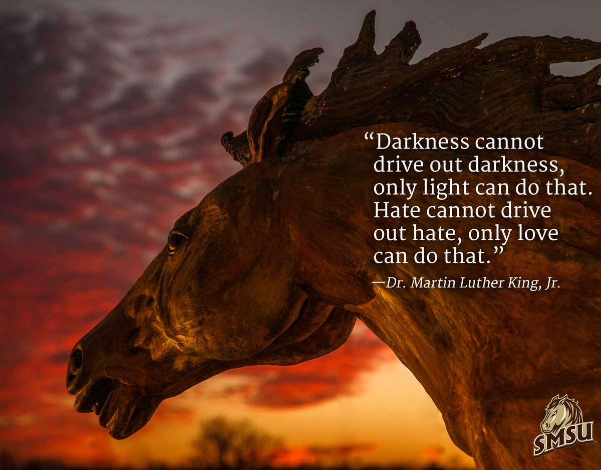 PrezGores's tweet photo. “Darkness cannot drive out darkness, only light can do that. Hate cannot drive out hate, only love can do that.”—Dr. Martin Luther King, Jr. https://t.co/UW2wtpQMA6