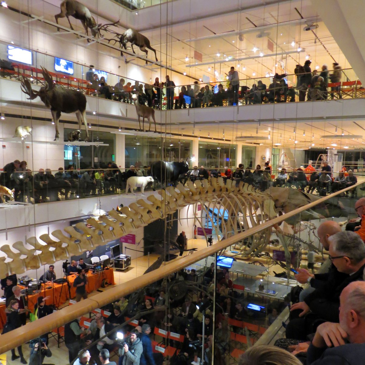 Rai Radio2 tweet media