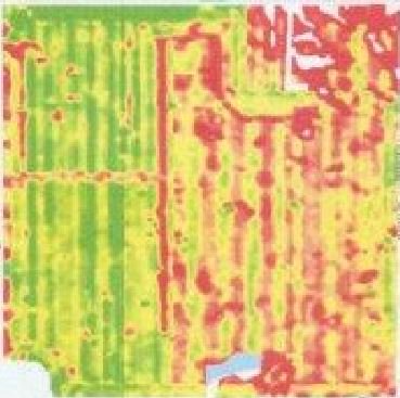 PremiumAg's tweet photo. Of all the #foliar "Trials", guess which one pays most consistently? #Fungicide This is obvious on a #yieldmap to be beneficial. https://t.co/CIM8ow20Rk