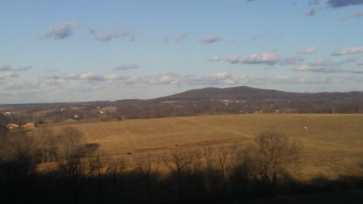 swissbeatsjack's tweet photo. Rolling back yard view https://t.co/wCMAA1sx5n