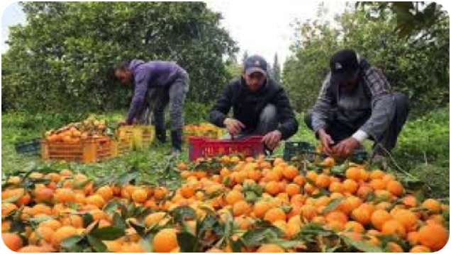Empezar a pensar diferente, consumir diferente, producir diferente y relacionarnos con los demás de una manera mas justa.  #SiEsPosible