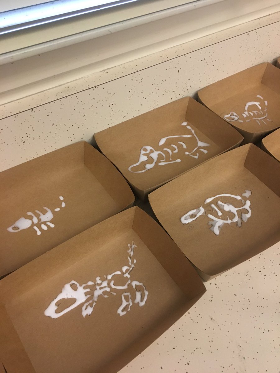 Suzy Kingsley tweet media