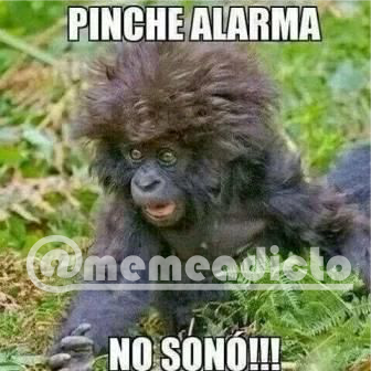 memeadicto69's tweet photo. Jajaja ya es muy tarde #memeadicto #memes #risas #jaja #humor #like #lol #alarma https://t.co/MqJ0BwjLXa